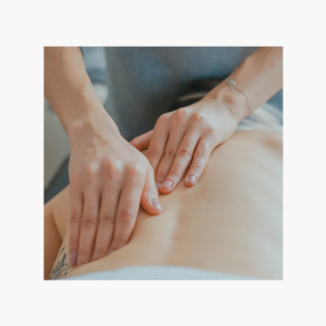 Produktbild der Fortbildung Die Rollen der Diaphragmen in der osteopathischen Integration: Verstehen, Fühlen, Anwenden